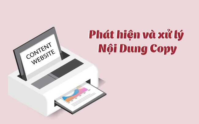 C&aacute;ch report web